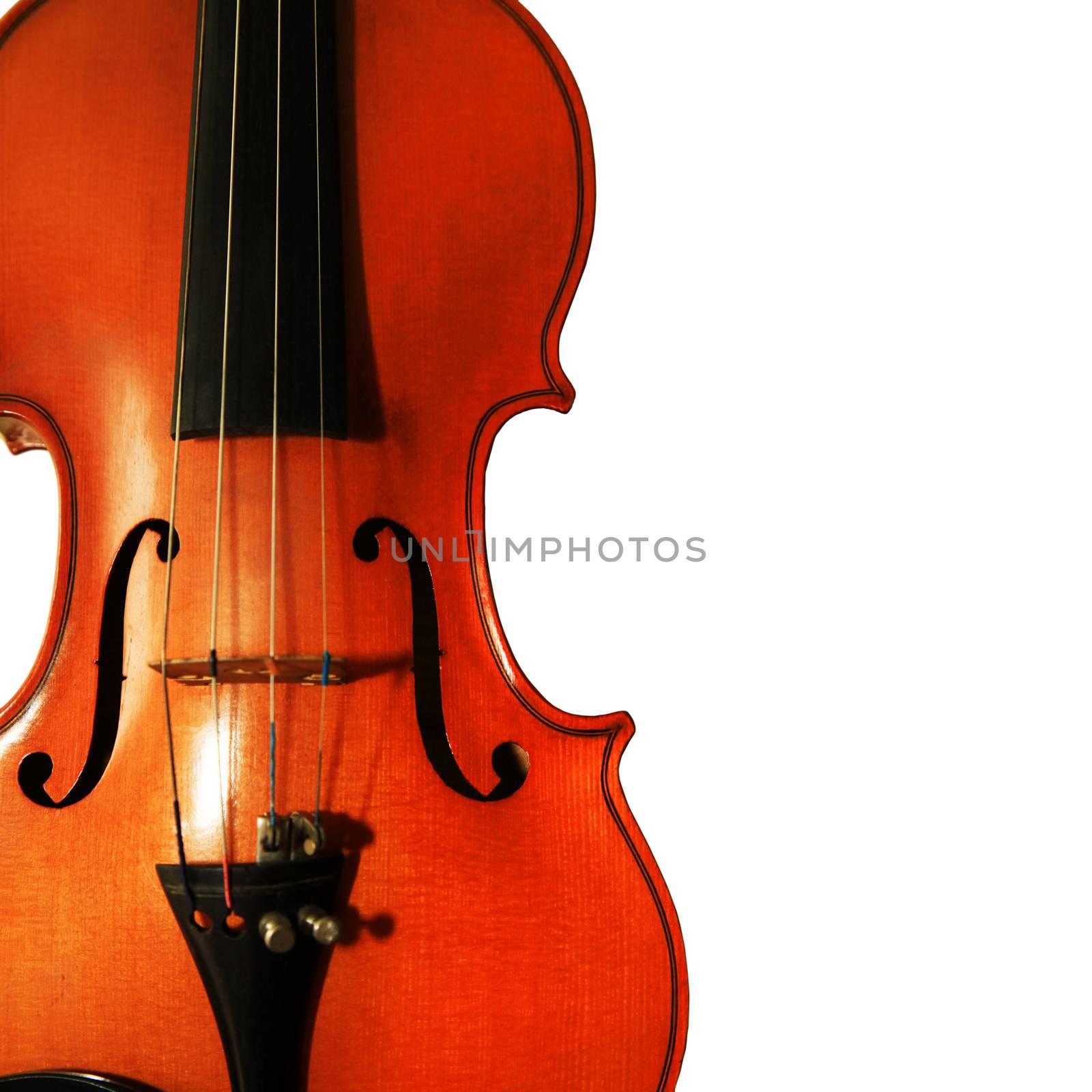 1937 old violin on the white background