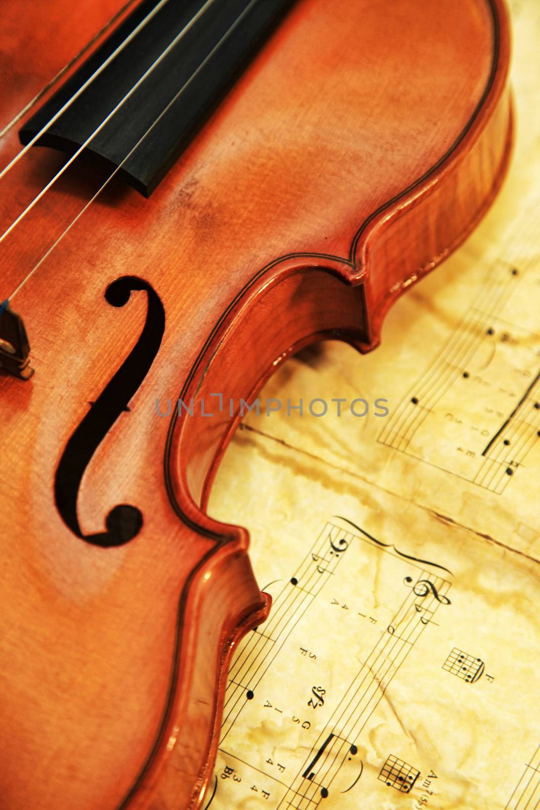 Old violin on the background of notes by friday