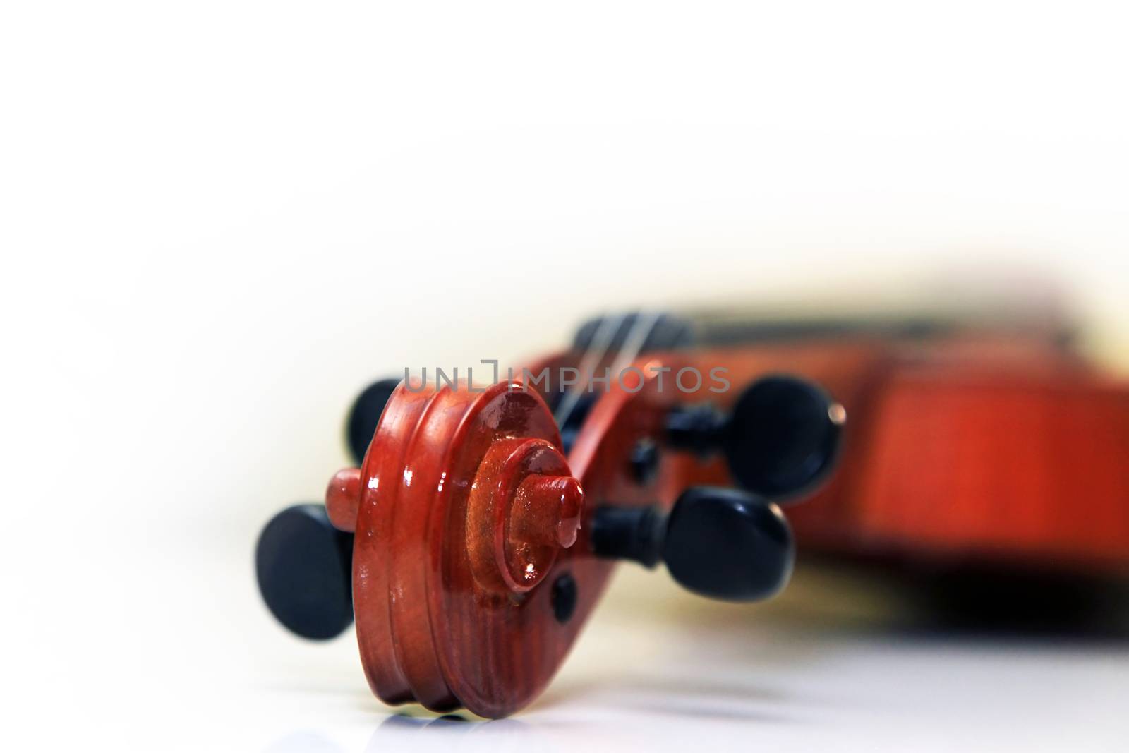 1937 old violin on the white background