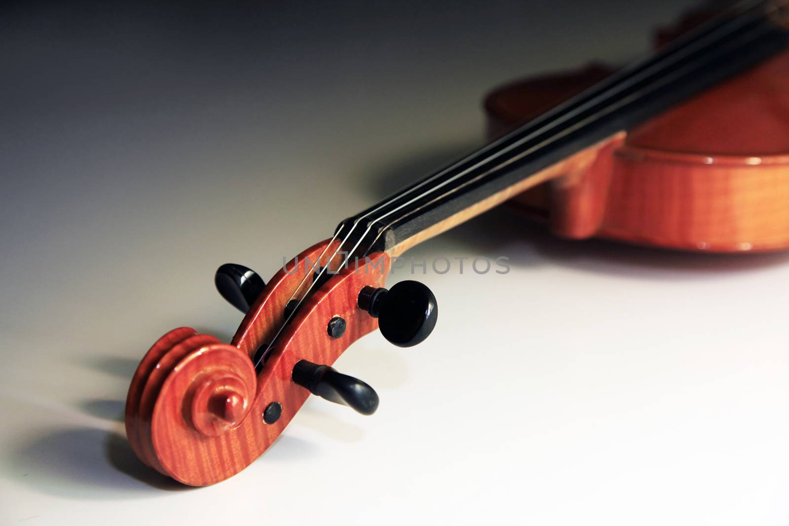 Old violin on the dim background by friday