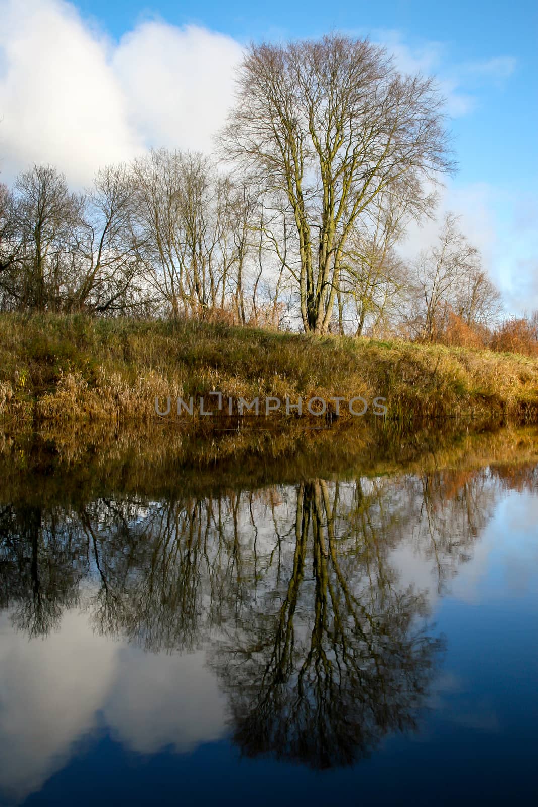 View on autumn landscape of river and trees in sunny day. Forest on river coast in autumn day. Reflection of autumn trees in water. Autumn in Latvia. Autumn landscape with colorful trees and river. 