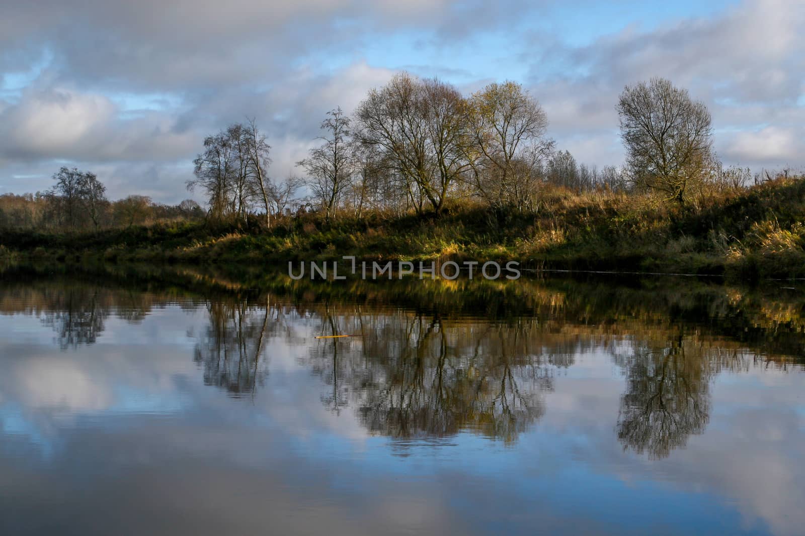 View on autumn summer of river and trees in sunny day. Forest on river coast in autumn day. Reflection of autumn trees in water. Summer in Latvia. Autumn landscape with colorful trees and river. 