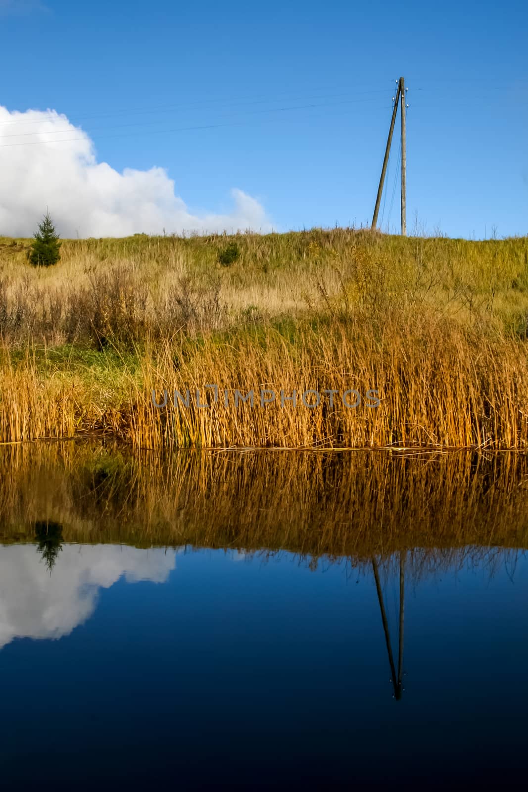 View on autumn landscape of river and grass in sunny day. Grass on river coast in autumn day. Reflection of autumn grass in water. Autumn in Latvia. Autumn landscape with colorful trees, yellow grass and river. Reflection in river.