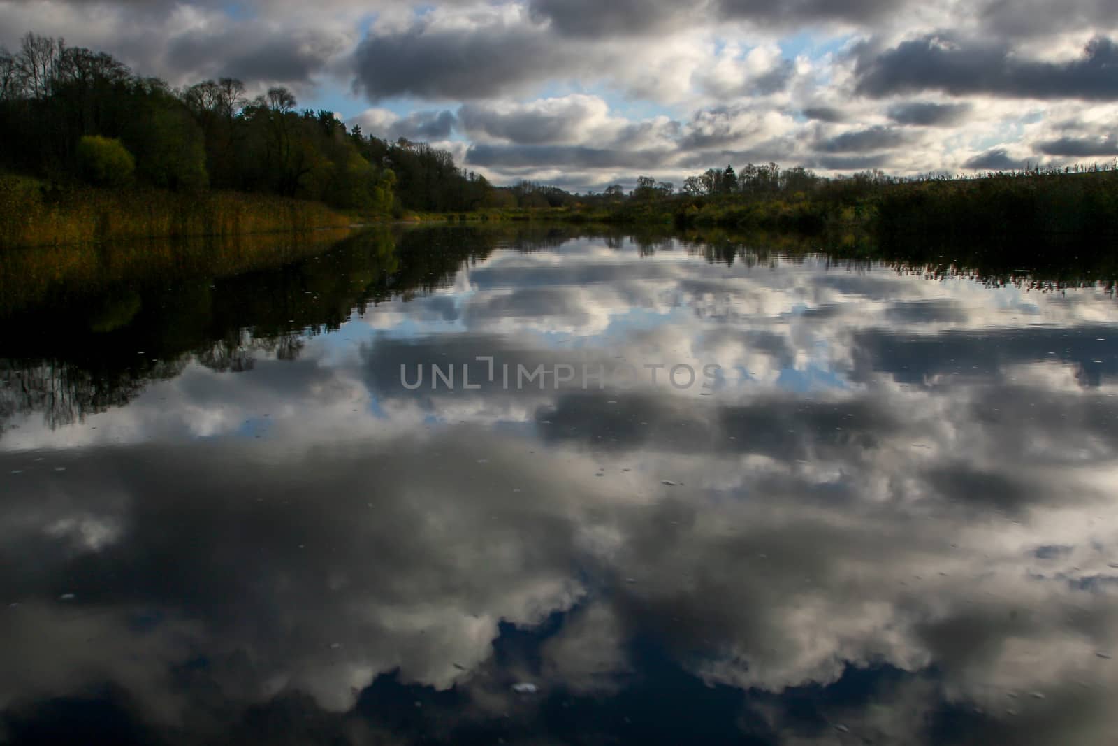 View on summer landscape of river and trees in evening. Forest on river coast in summer day. Reflection of clouds and sky in water. Summer in Latvia. Autumn landscape with colorful trees, grass and river. 