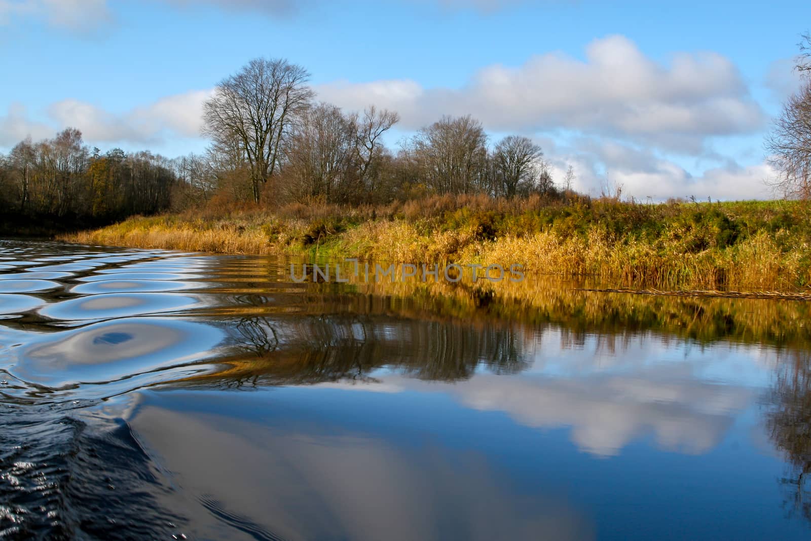 View on autumn landscape of river and trees in sunny day. Forest and grass on river coast in autumn day. Reflection of autumn trees and sky in water. Autumn in Latvia. Autumn landscape with colorful trees, yellow grass and river. 