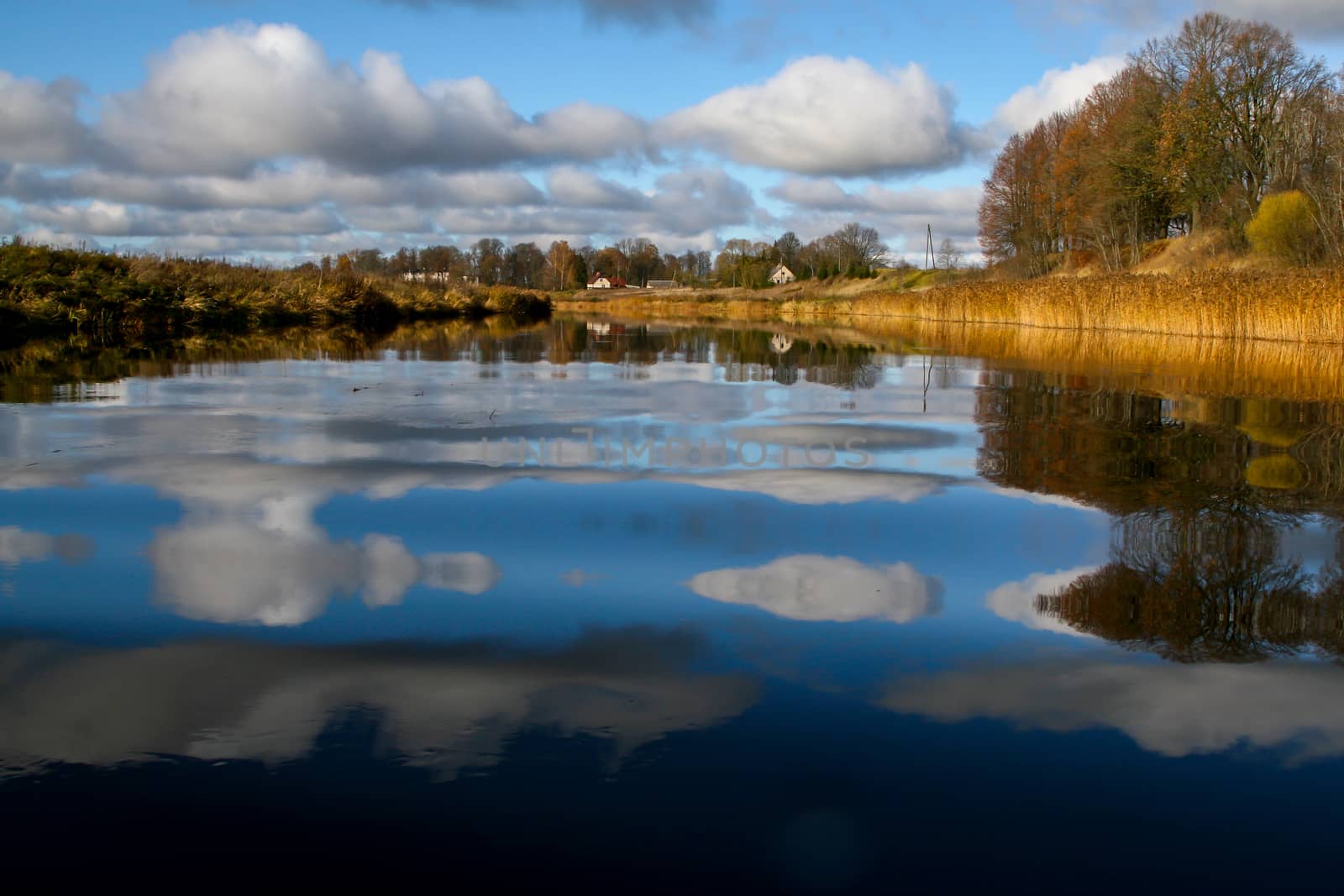 View on autumn landscape of river and trees in sunny day. Forest on river coast in autumn day. Reflection of autumn trees in water. Autumn in Latvia. Autumn landscape with colorful trees, yellow grass and river. 