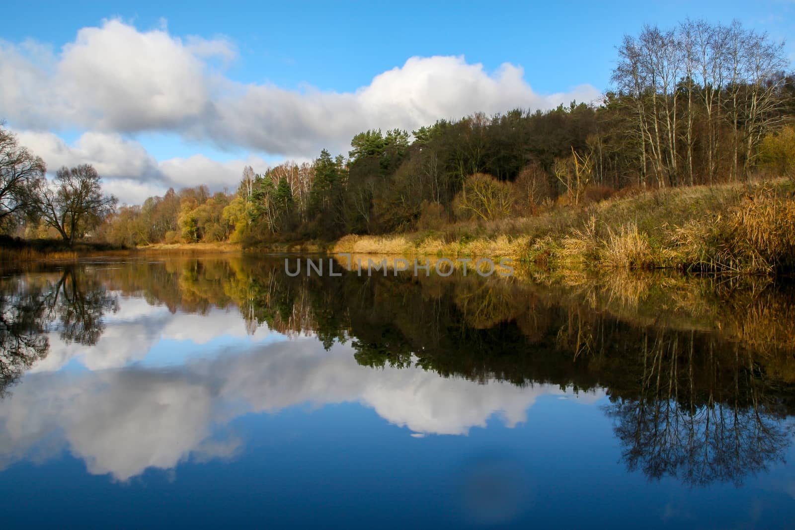 View on autumn landscape of river and trees in sunny day. Forest on river coast in autumn day. Reflection of autumn trees in water. Autumn in Latvia. Autumn landscape with colorful trees, yellow grass and river. 