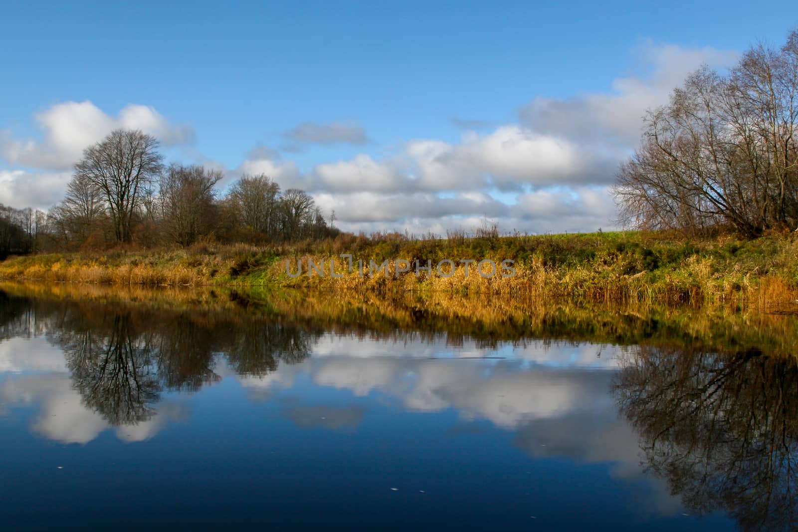 View on autumn landscape of river and trees in sunny day. Forest on river coast in autumn day. Reflection of autumn trees in water. Autumn in Latvia. Autumn landscape with colorful trees, yellow grass and river. 