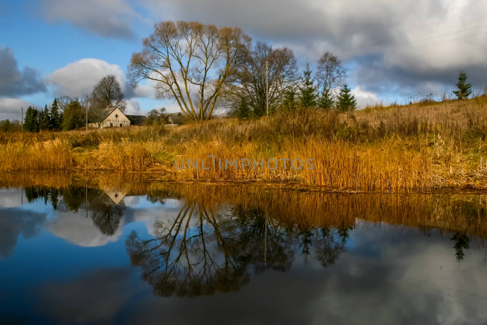 View on autumn landscape of river and trees in sunny day. Grass on river coast in autumn day. Reflection of autumn grass and house in water. Autumn in Latvia. Autumn landscape with colorful trees, yellow grass and river. 