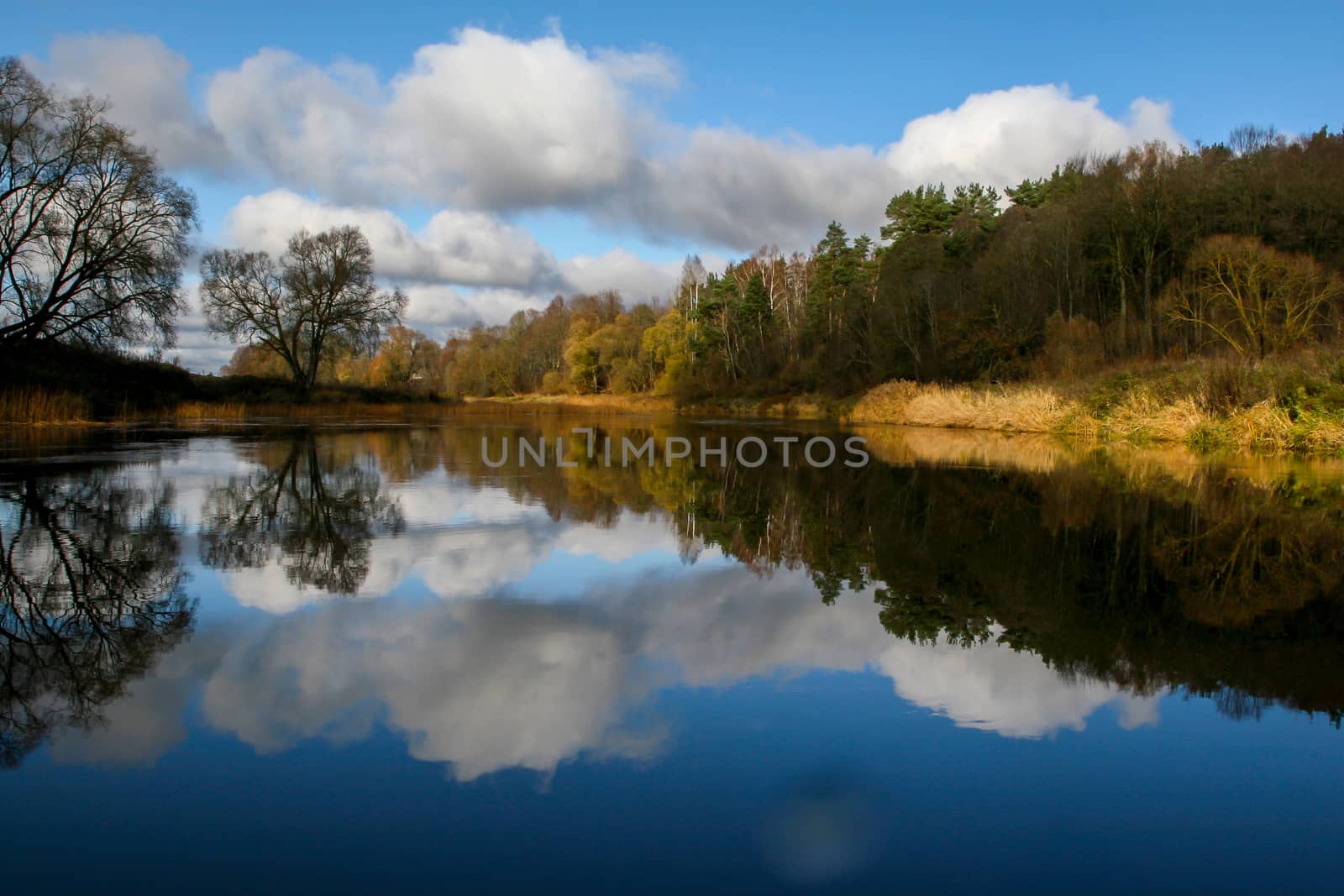 View on autumn landscape of river and trees in sunny day. Forest on river coast in autumn day. Reflection of autumn trees in water. Autumn in Latvia. Autumn landscape with colorful trees, yellow grass and river. 