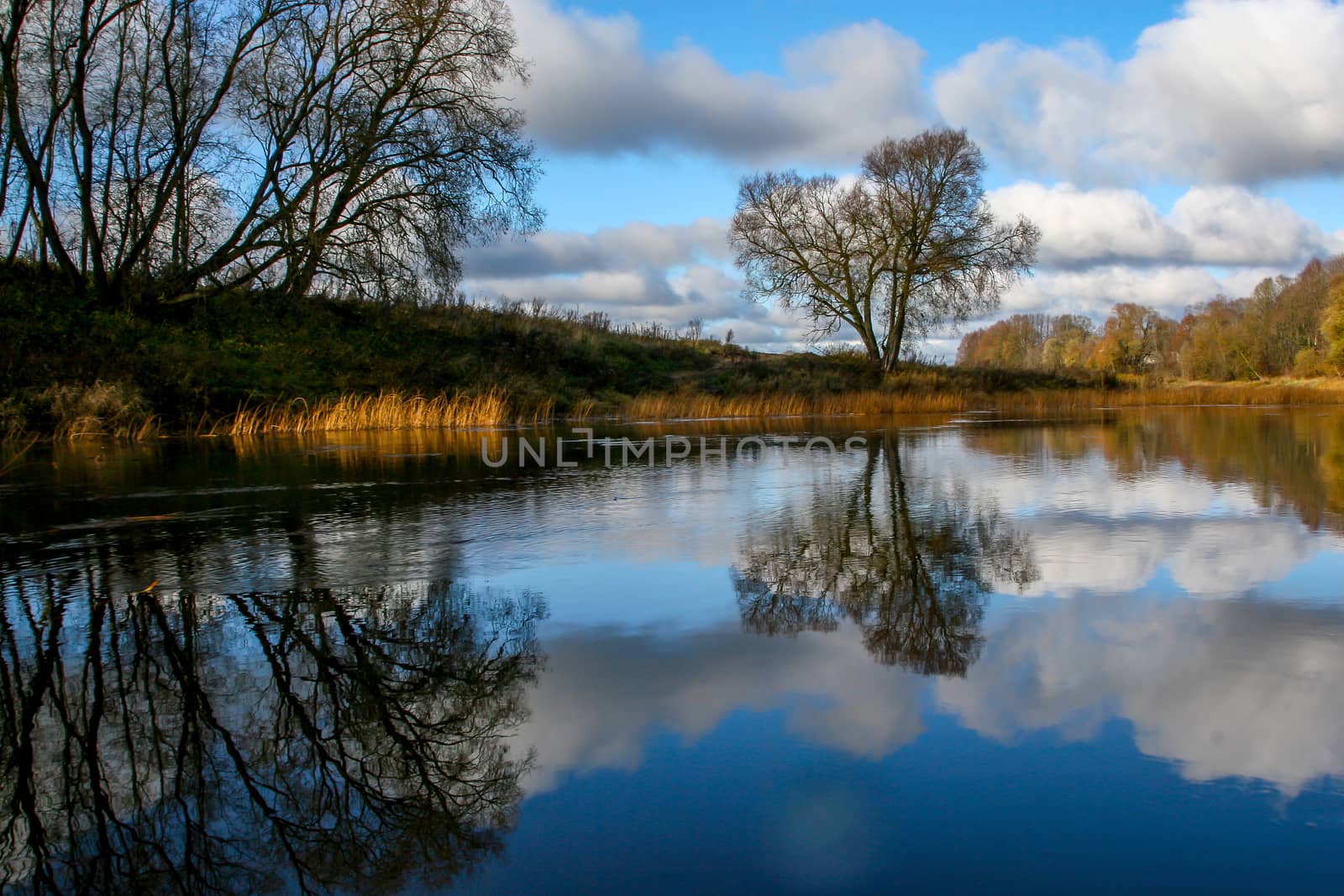 View on autumn landscape of river and trees in sunny day. Forest on river coast in autumn day. Reflection of autumn trees in water. Autumn in Latvia. Autumn landscape with colorful trees, yellow grass and river. 