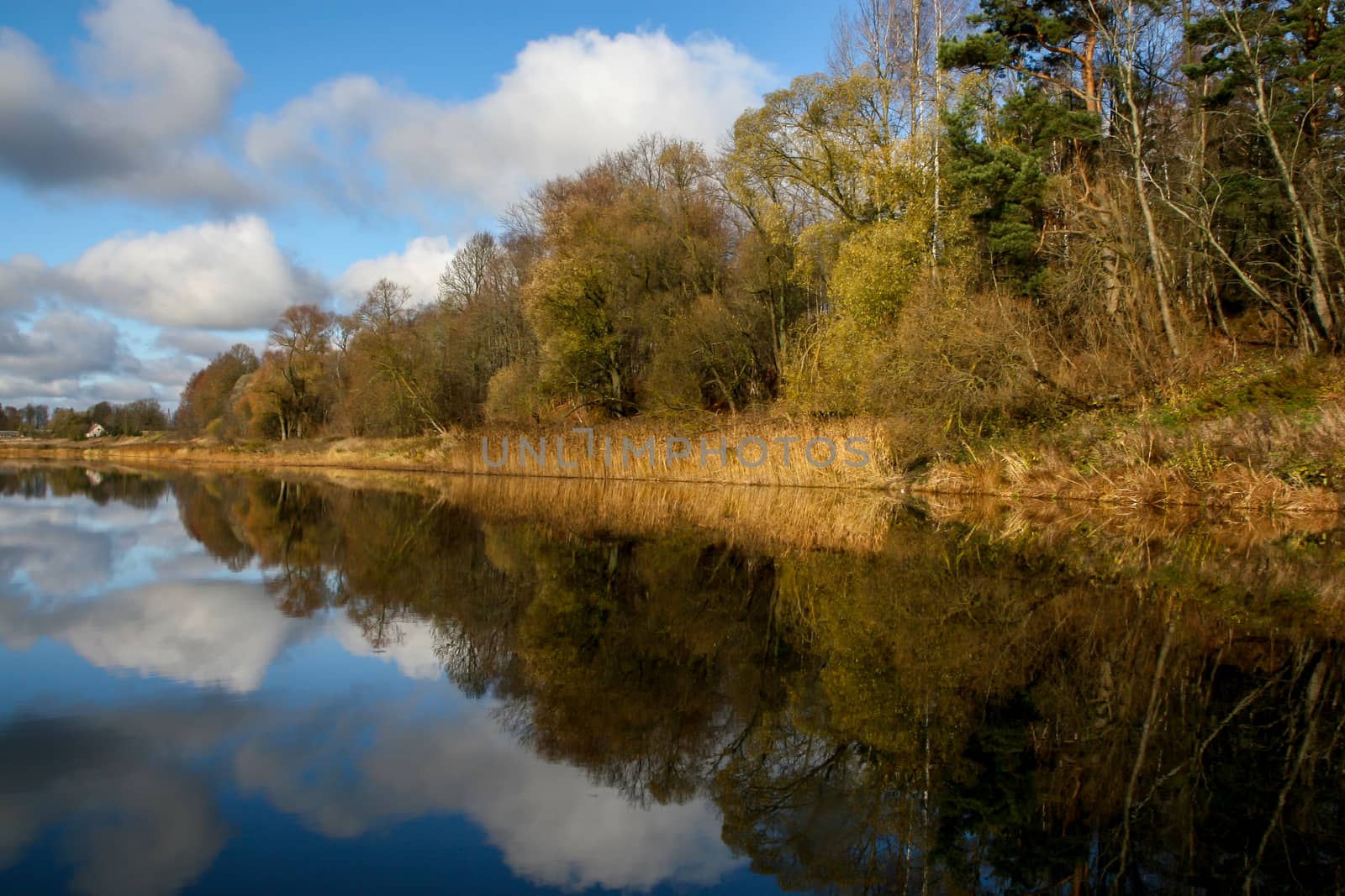 View on autumn landscape of river and trees in sunny day. Forest on river coast in autumn day. Reflection of autumn trees and clouds in water. Autumn in Latvia. Autumn landscape with colorful trees, yellow grass and river. 