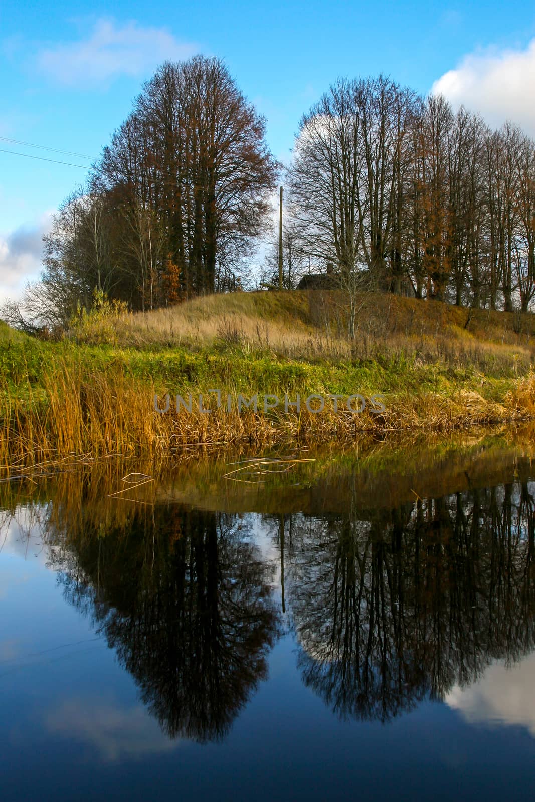 View on autumn landscape of river and trees in sunny day. Forest on river coast in autumn day. Reflection of autumn trees in water. Autumn in Latvia. Autumn landscape with colorful trees, yellow grass and river. 