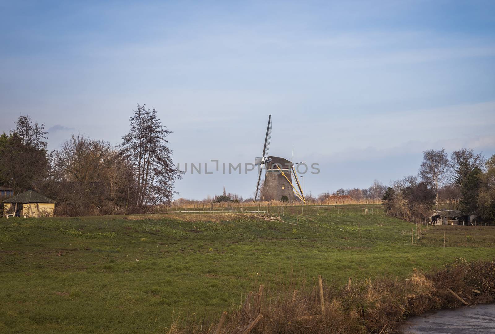 windmill and farm fields with a horse on the grass in the area of rotterdam in the netherlands