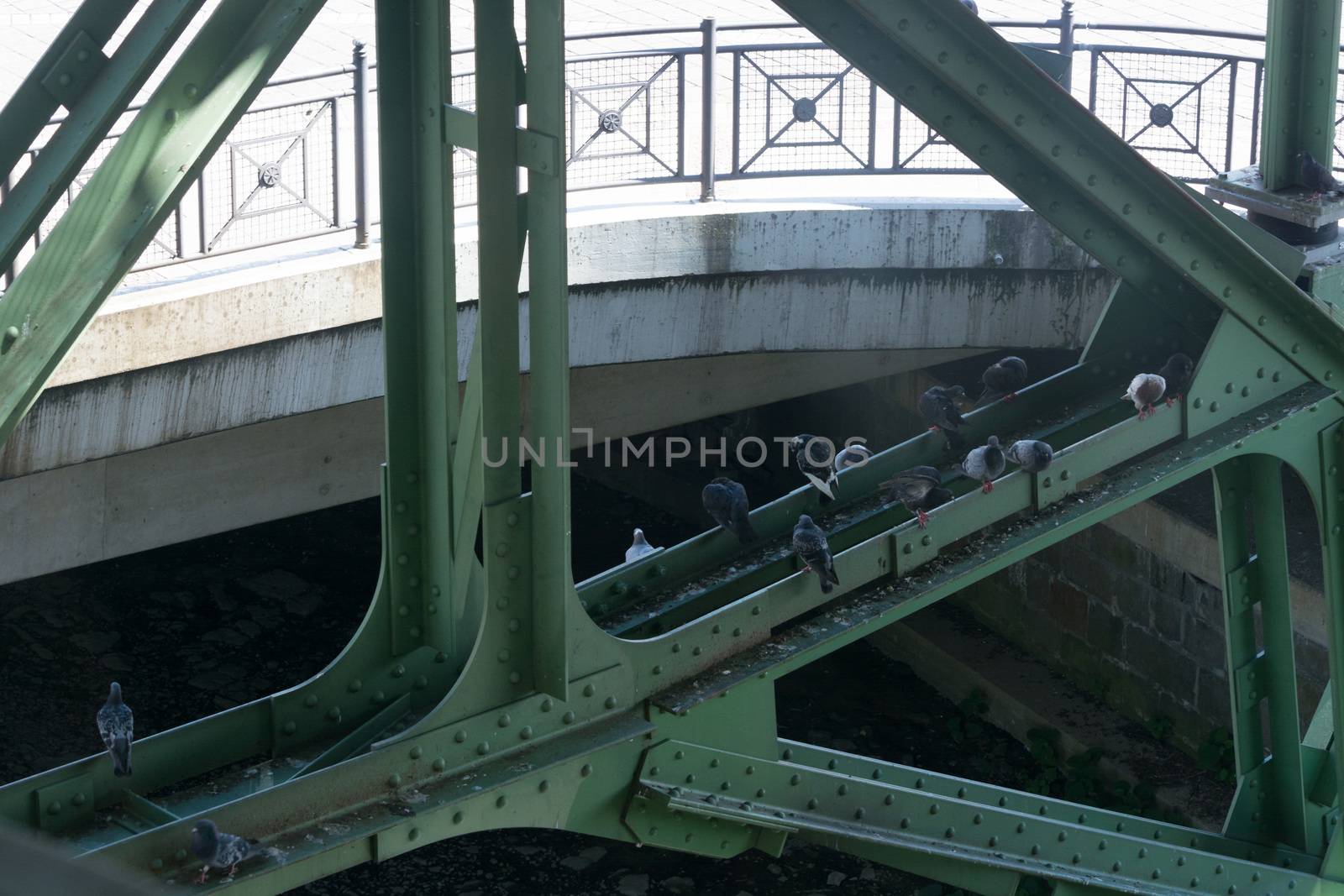 The supporting framework of the Wuppertal suspension railway.
On the steel girder pigeons which all pollute.