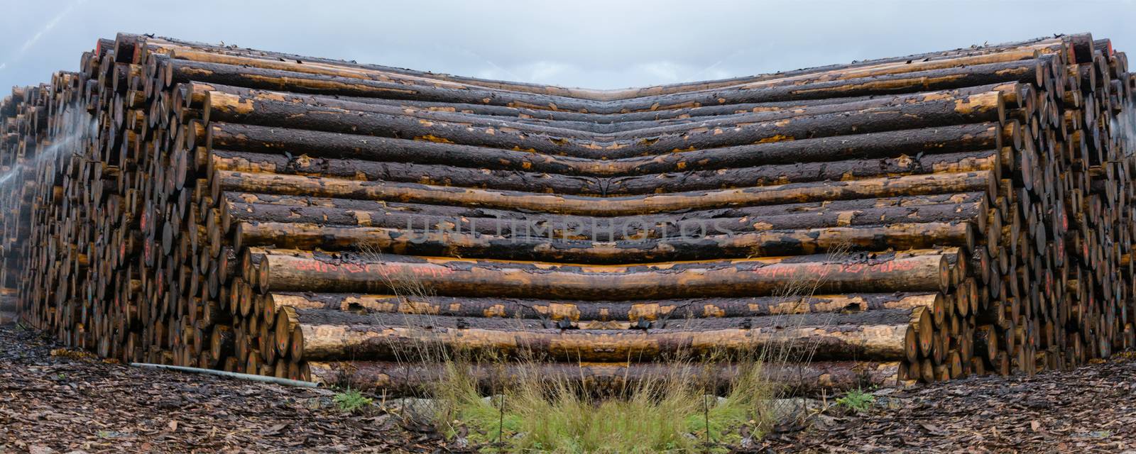 Stacked wood on a wood storage yard by JFsPic
