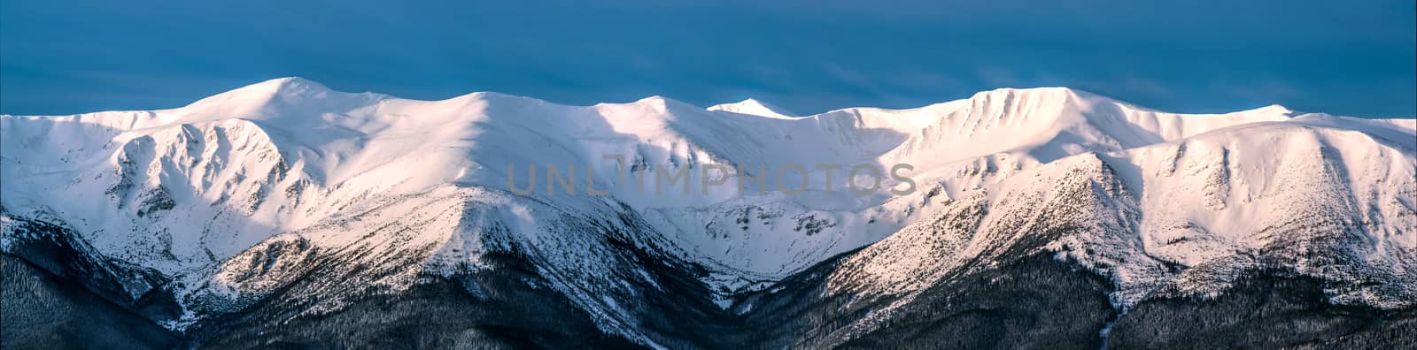 Winter morning panoramic view of snowy mountain ridge. Morning sunlight. Soft light. Clear blue sky. Ukrainian Carpathians
