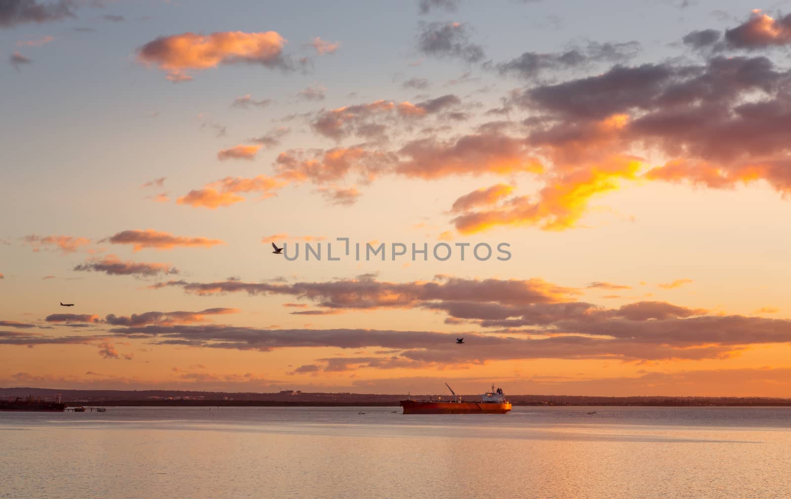 Cargo ships in Botany Bay at sunset with pretty skies overhead
