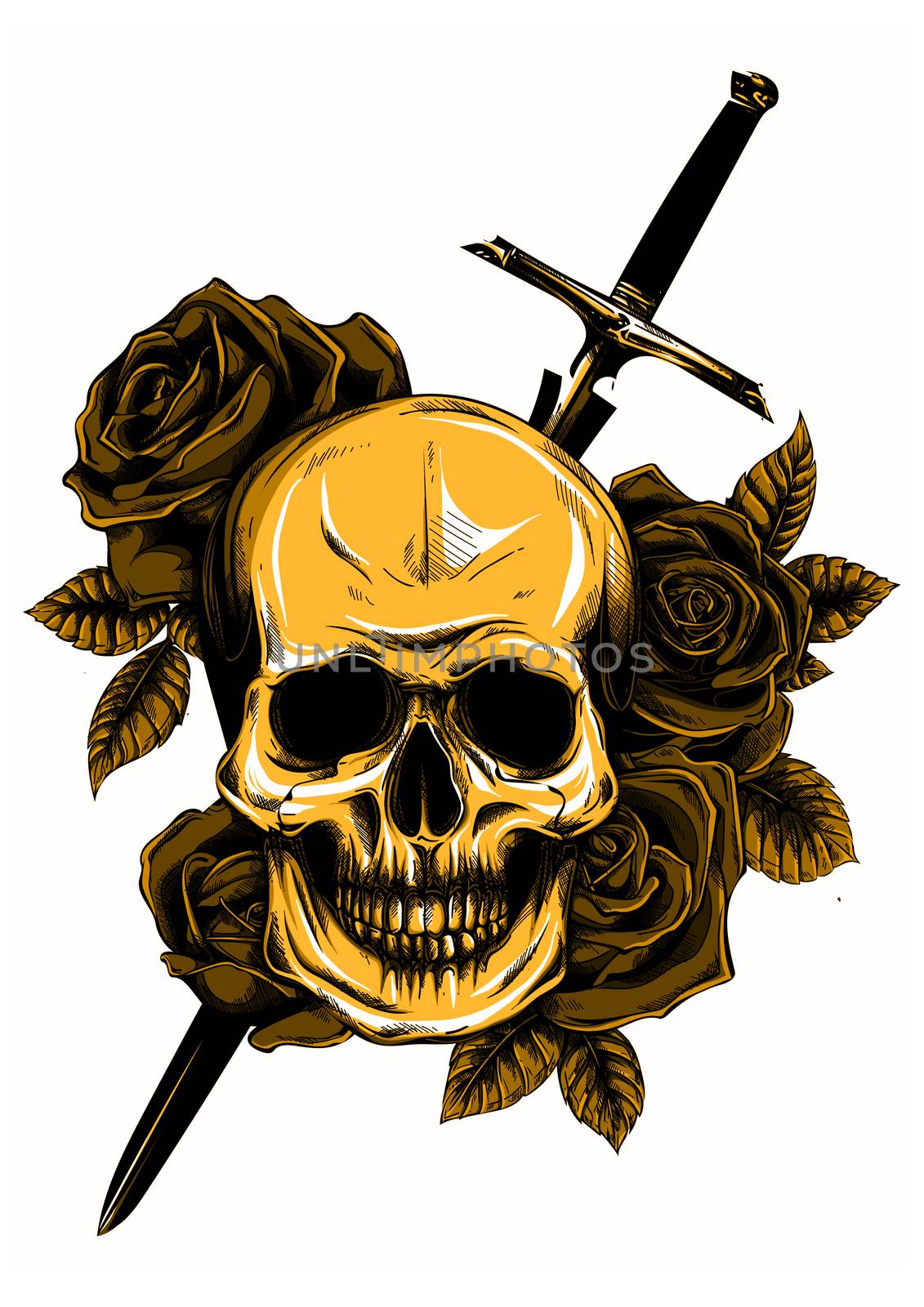 A human skull with roses on white background by dean