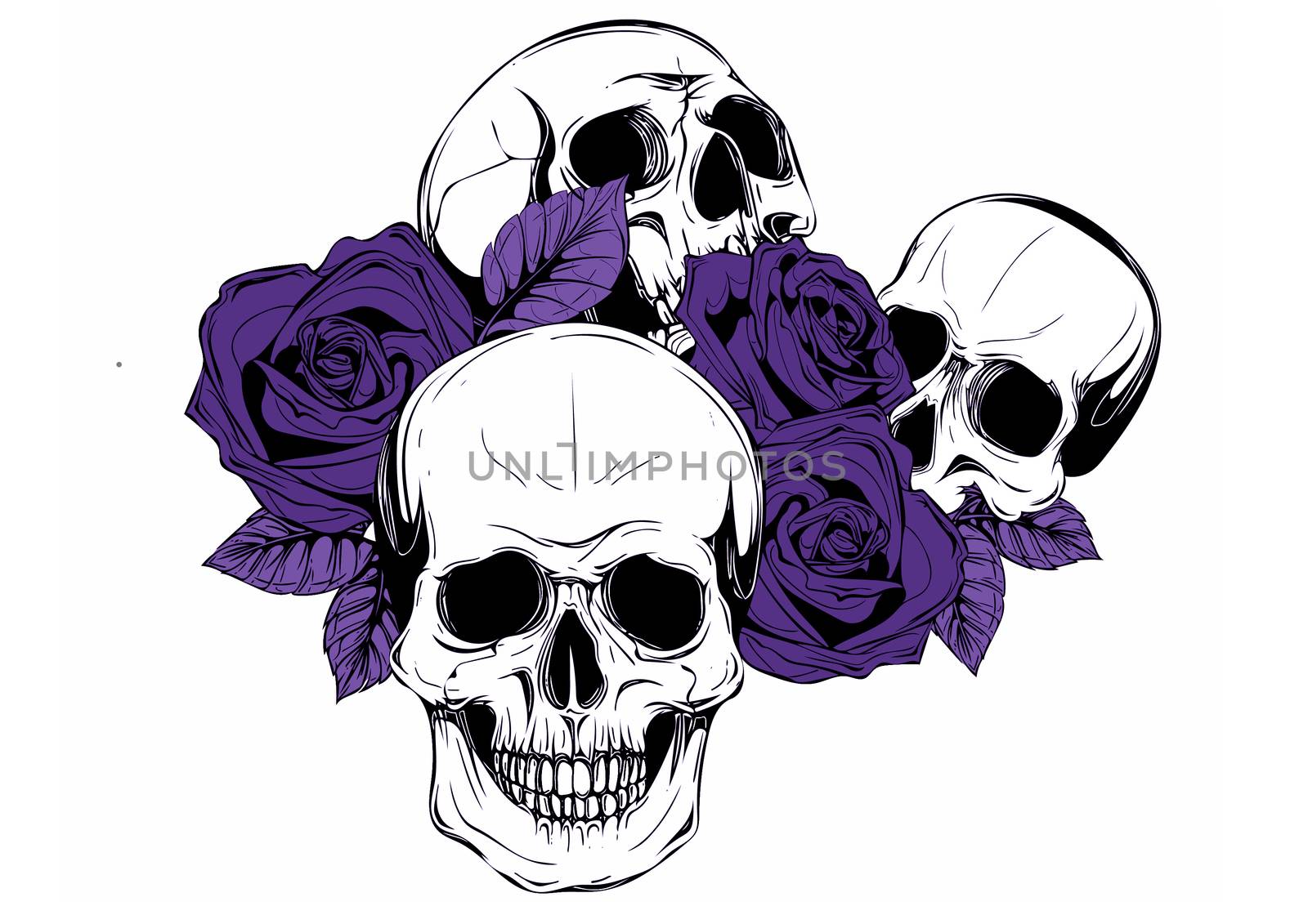 A human skull with roses on white background by dean