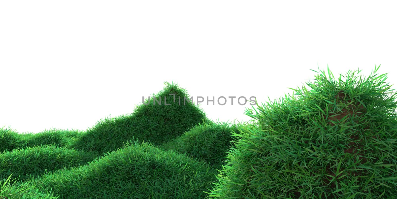 Green grass growing on hills with white background. 3d rendering