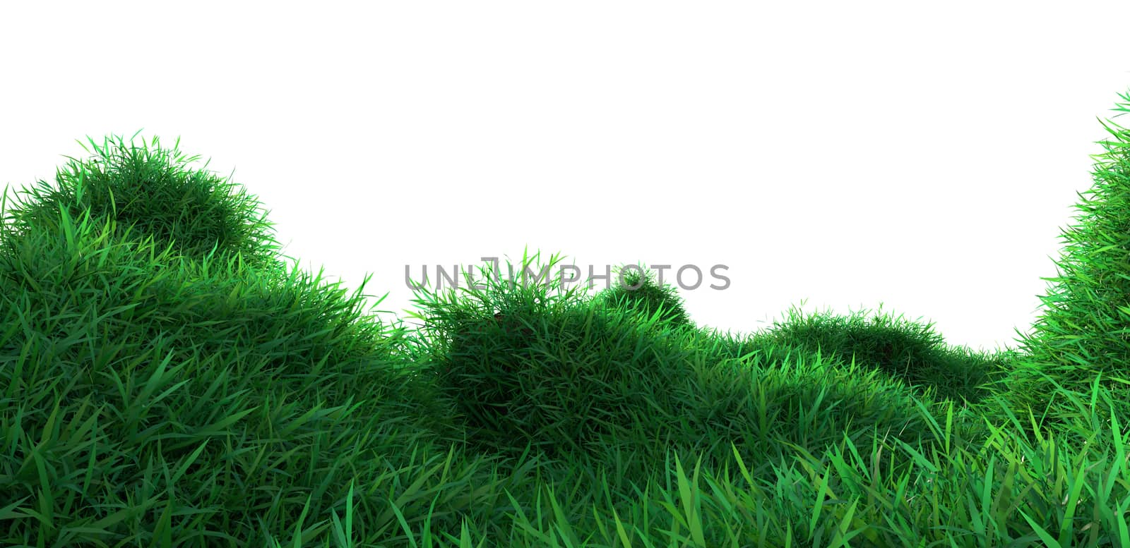 Green grass growing on hills by cherezoff
