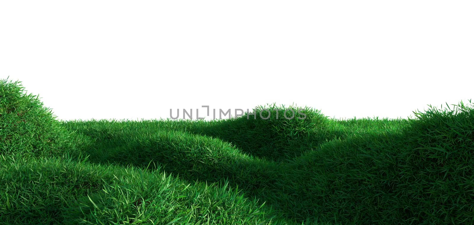 Green grass growing on hills with white background. 3d rendering
