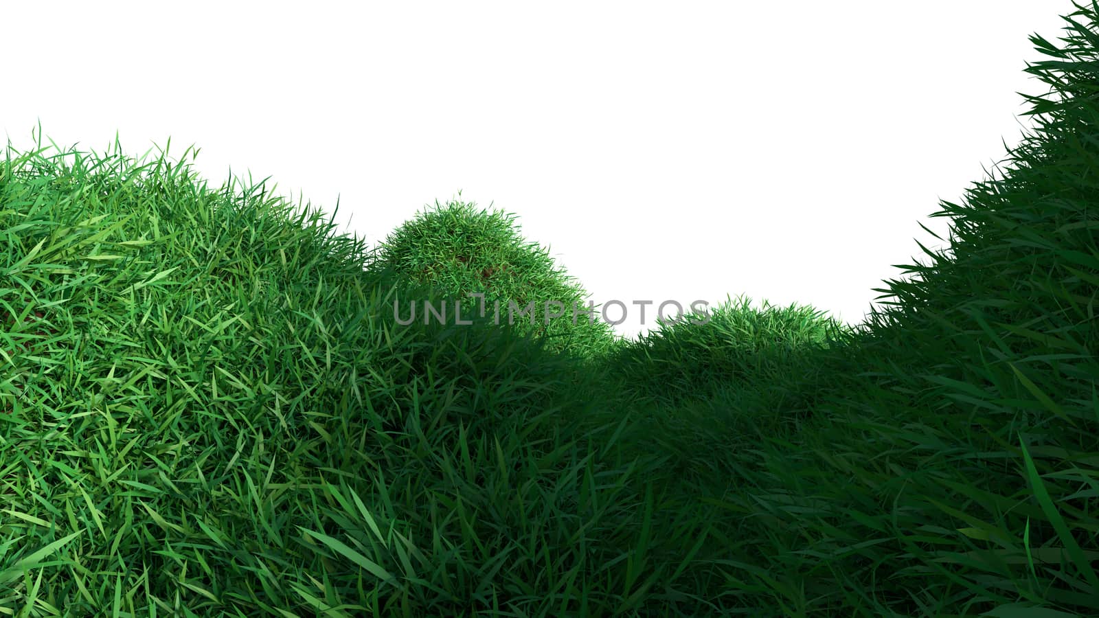 Green grass growing on hills by cherezoff