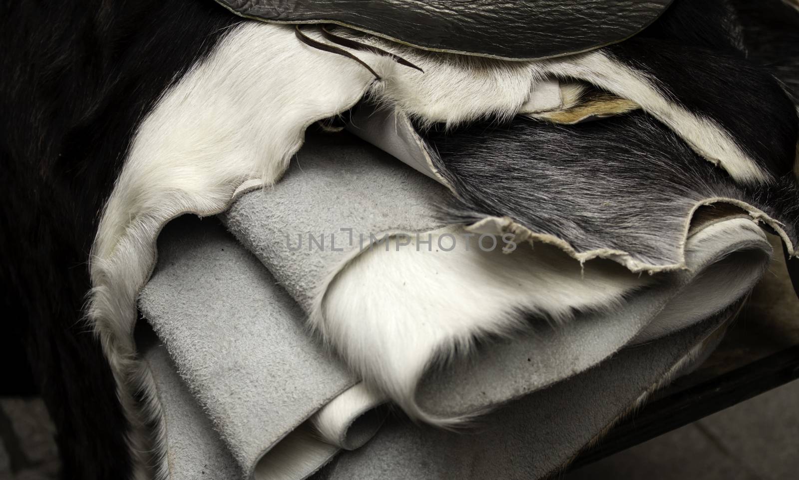 Natural animal skins by celiafoto