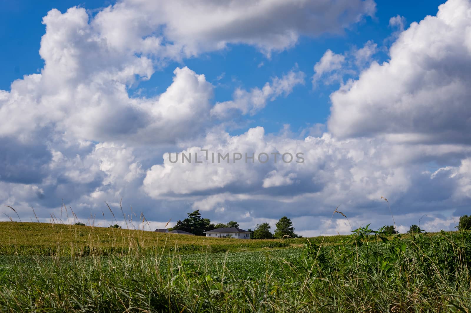 Farm on countryside with blue sky and clouds.