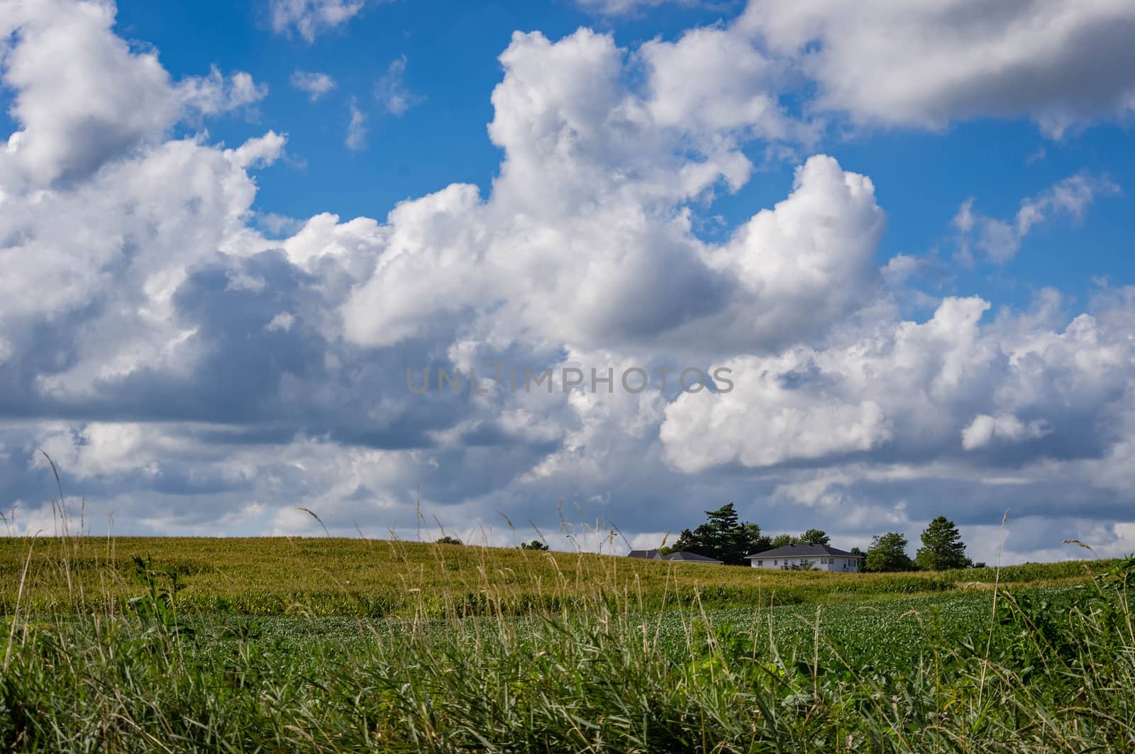 Farm on countryside with blue sky and clouds.