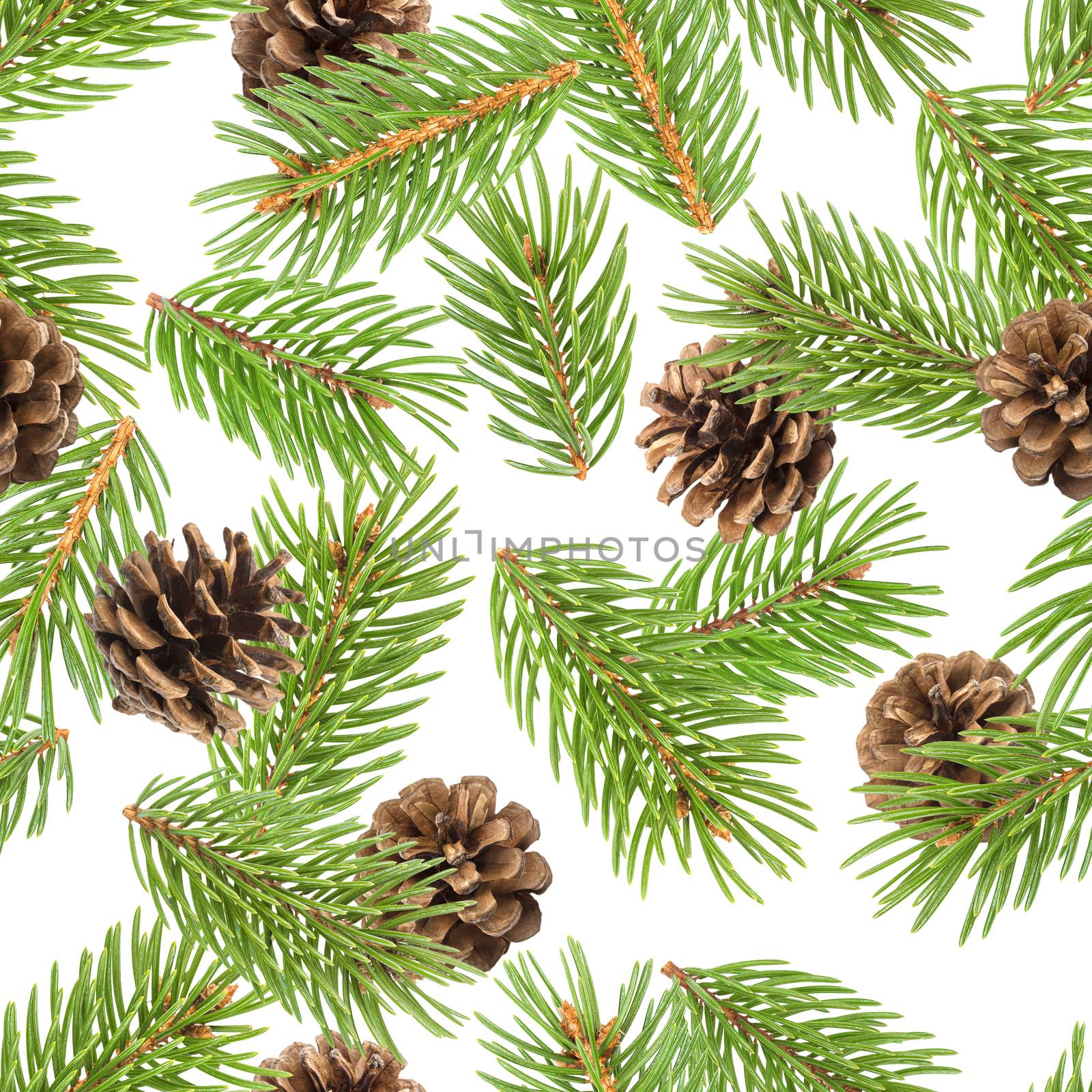 Fir tree branches seamless pattern, pine branch, Christmas conifer isolated on white background by xamtiw