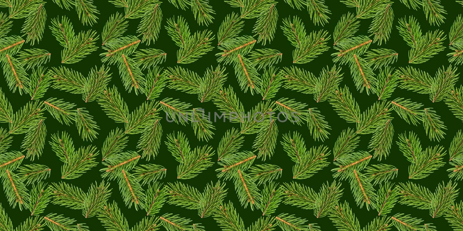 Fir tree branches seamless pattern, pine branch, Christmas conifer isolated on green background, New Year winter pattern