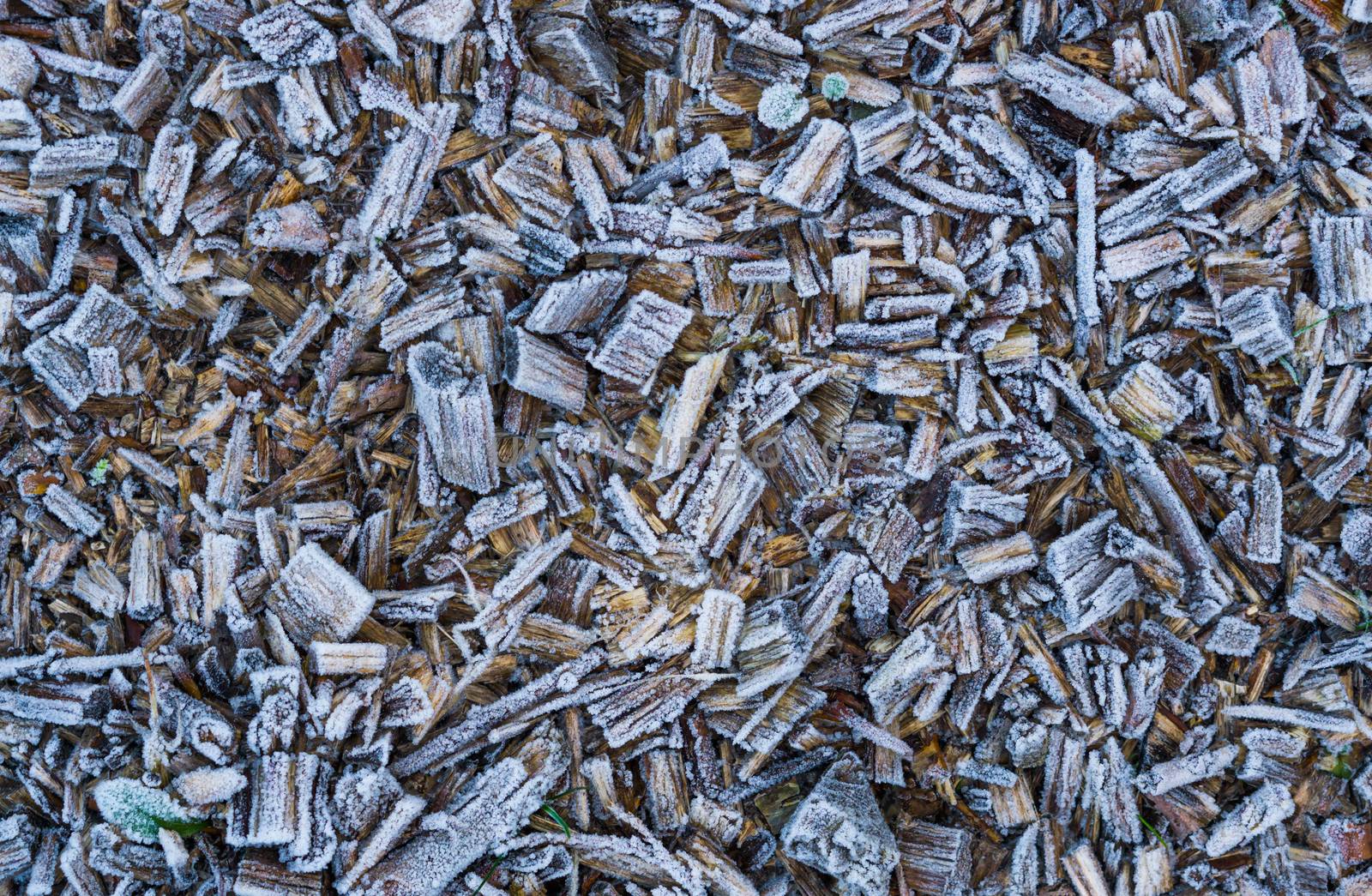 frozen wood chips covered in snow crystals texture, a winter season garden background