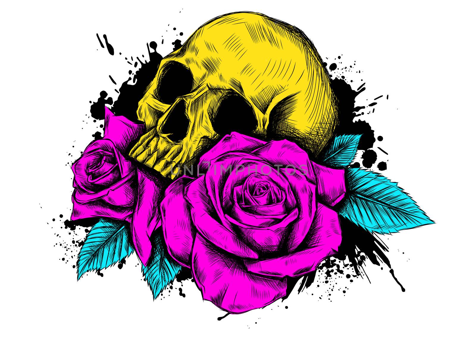 Skull with flowers, with roses. Drawing by hand. . Illustration by dean