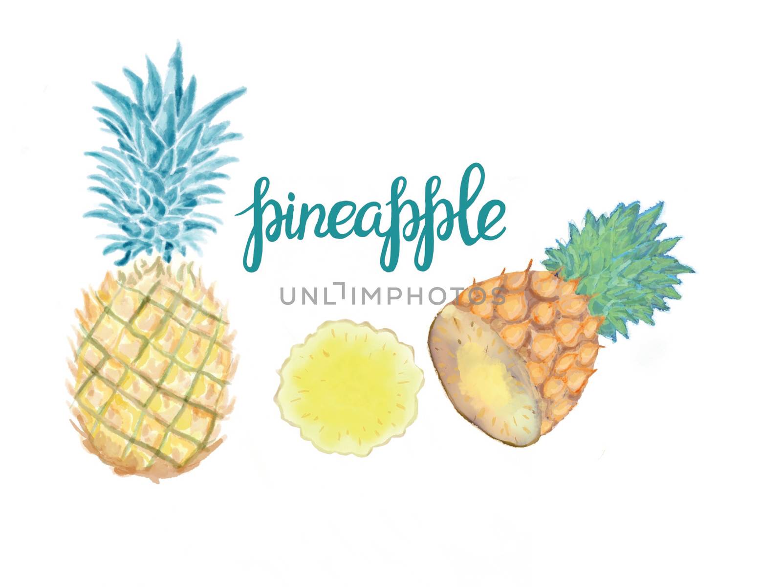 Hand-drawn Watercolor illustration set with sliced pineapple clipart lettering text pineapple.  