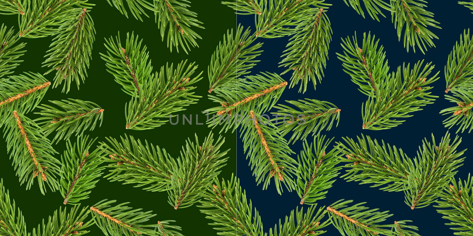 Fir tree branches seamless pattern, pine branch, Christmas conifer isolated on green background, New Year winter pattern