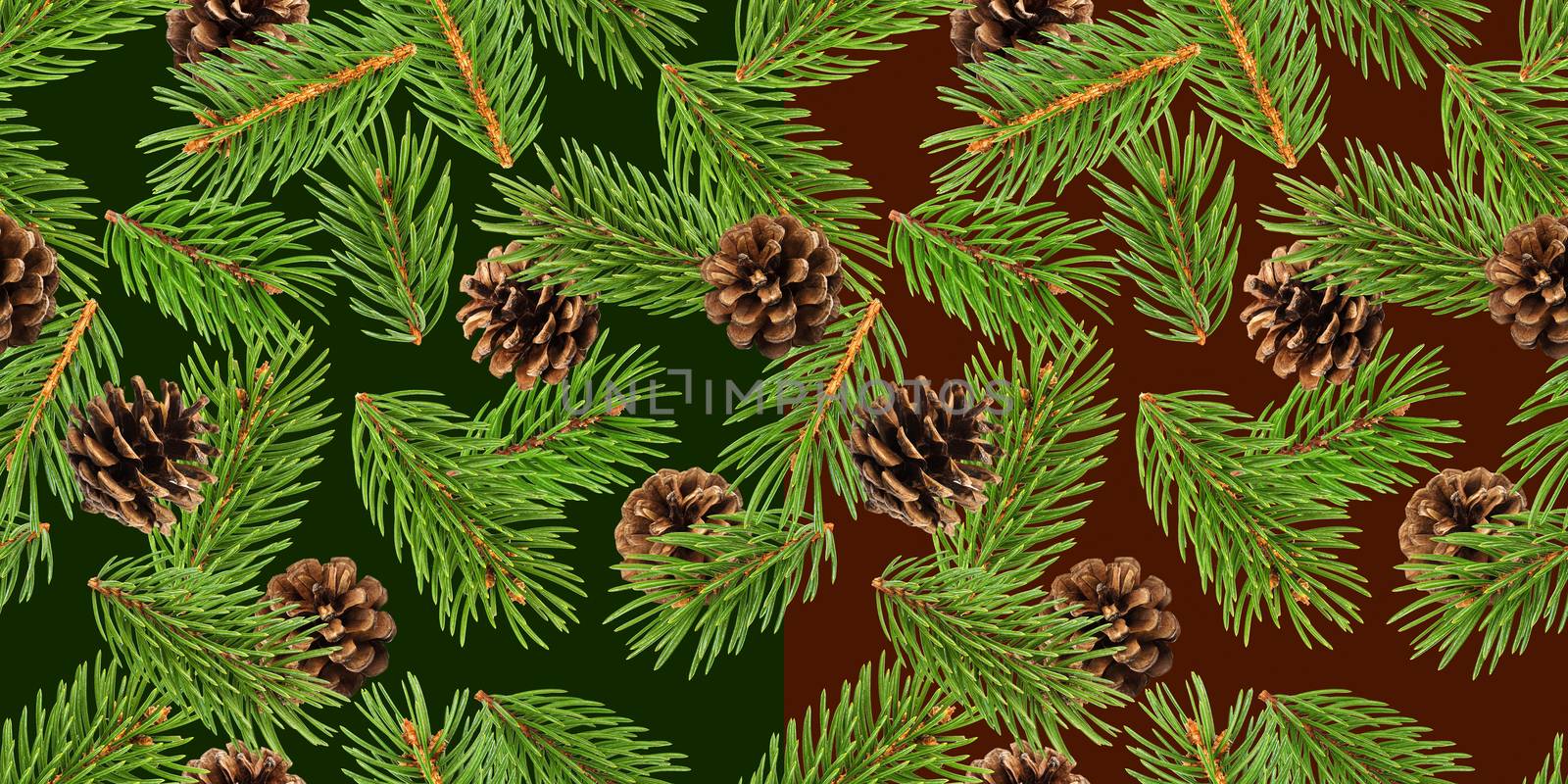 Fir tree branches seamless pattern, pine branch, Christmas conifer background by xamtiw