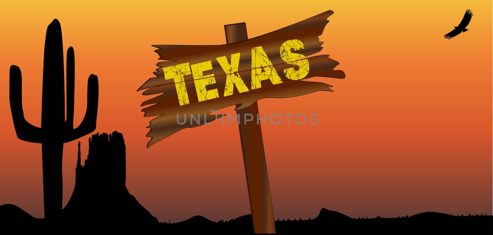 A Texan desert sunset scene with cactus