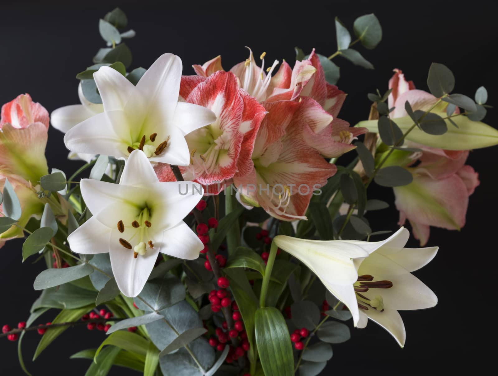 bouquet of flowers with white lily and red amaryllis and red bellies on a black background