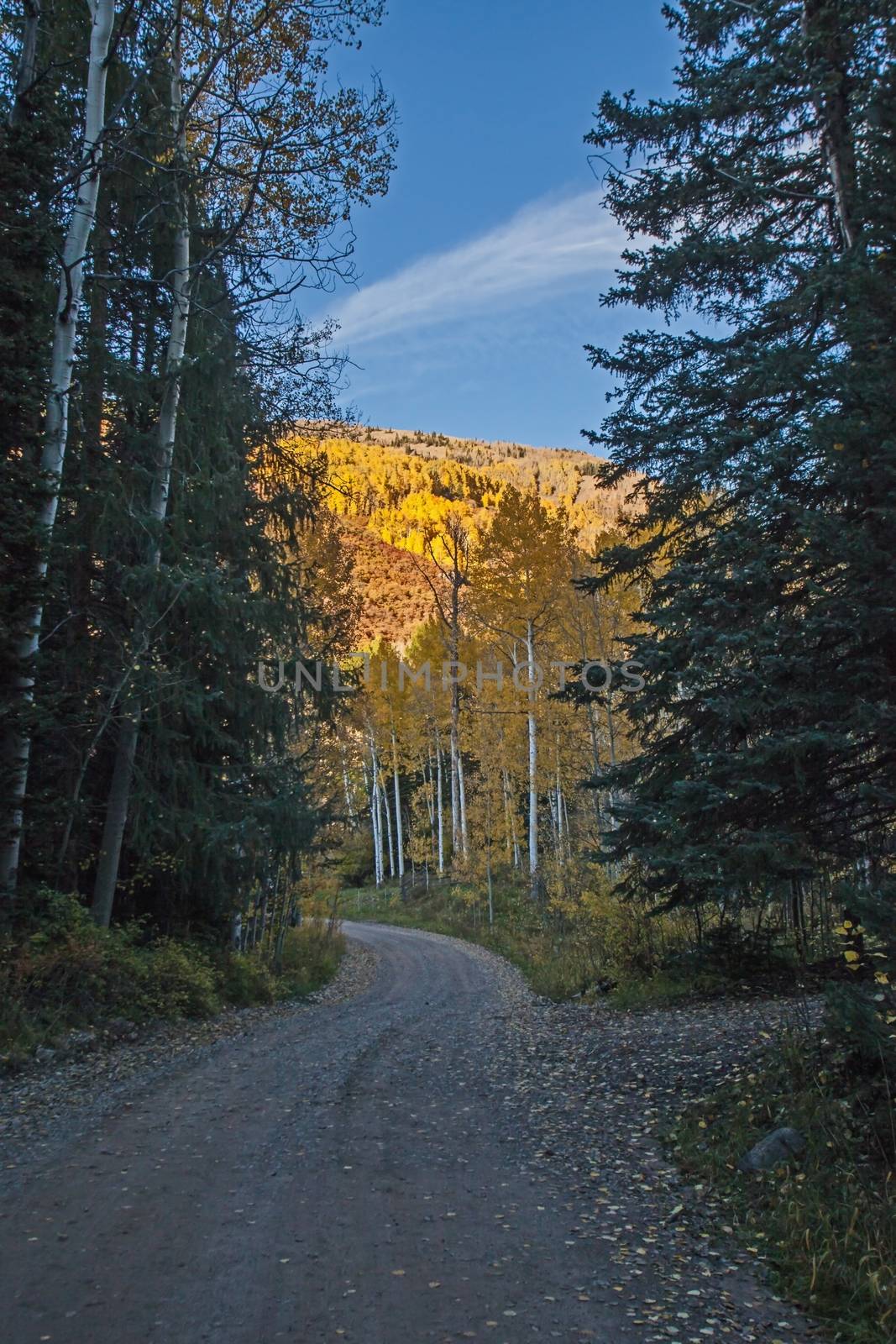 The road from Oowah Lake campsite in the Manti-La Sal National Forest. Utah. USA