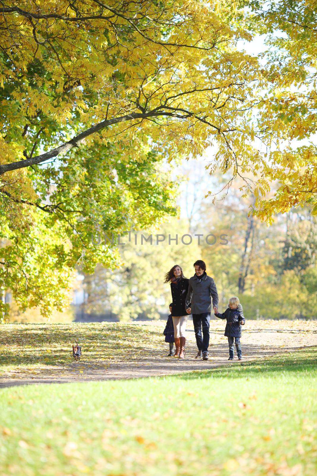 Happy family with two children walking in sunny autumn park holding hands