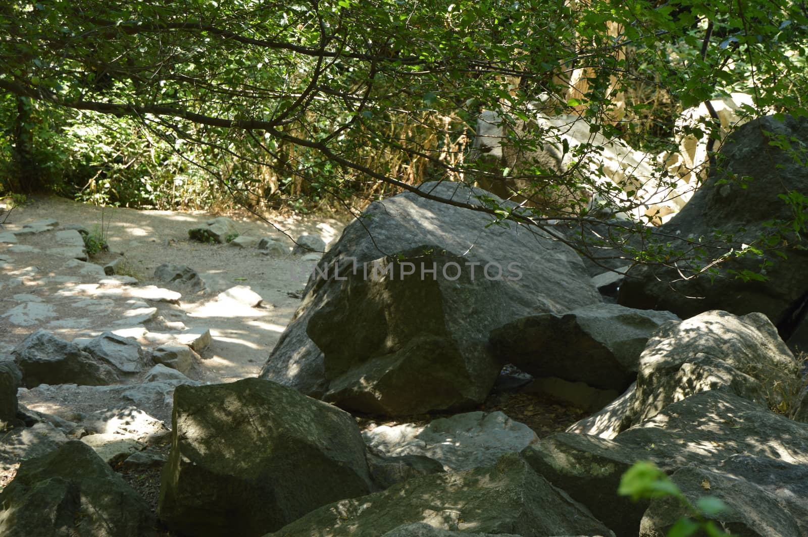 Large stones along the forest path in the thickets of trees by claire_lucia