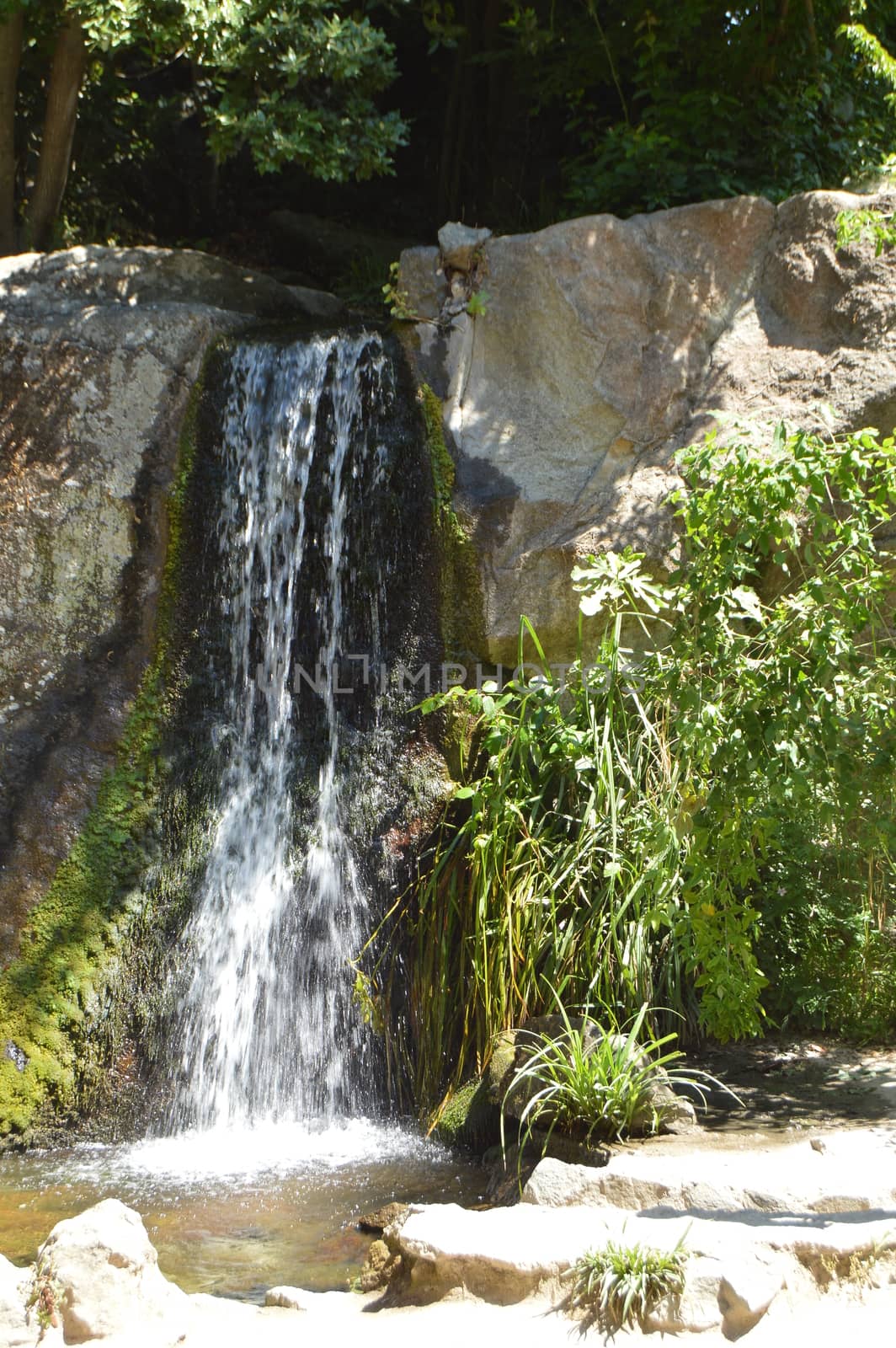 The waterfall flows down from the stones overgrown with plants in the summer natural Park.