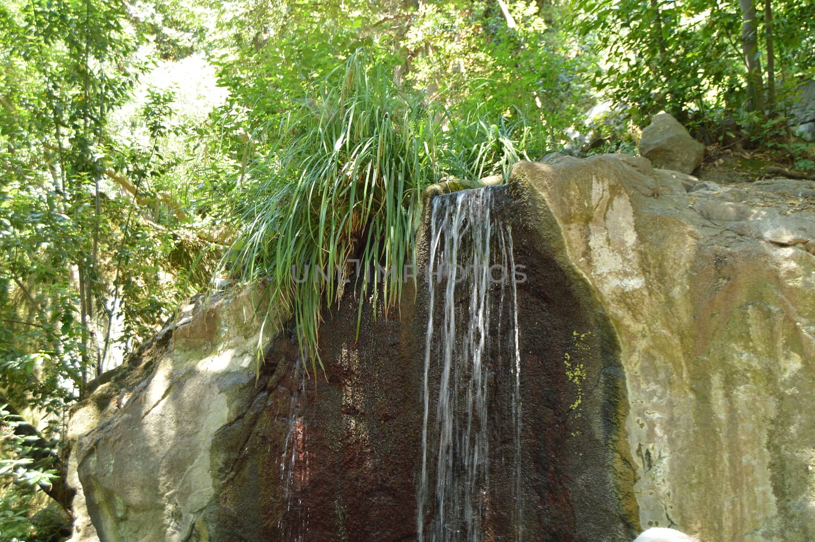 The waterfall flows down from the stones overgrown with plants in the summer natural Park by claire_lucia