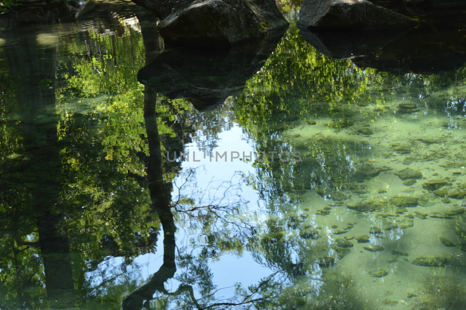 Abstract trees, sky, stones are reflected in the ripples of the water surface, through the clear water you can see the bottom of the pond.