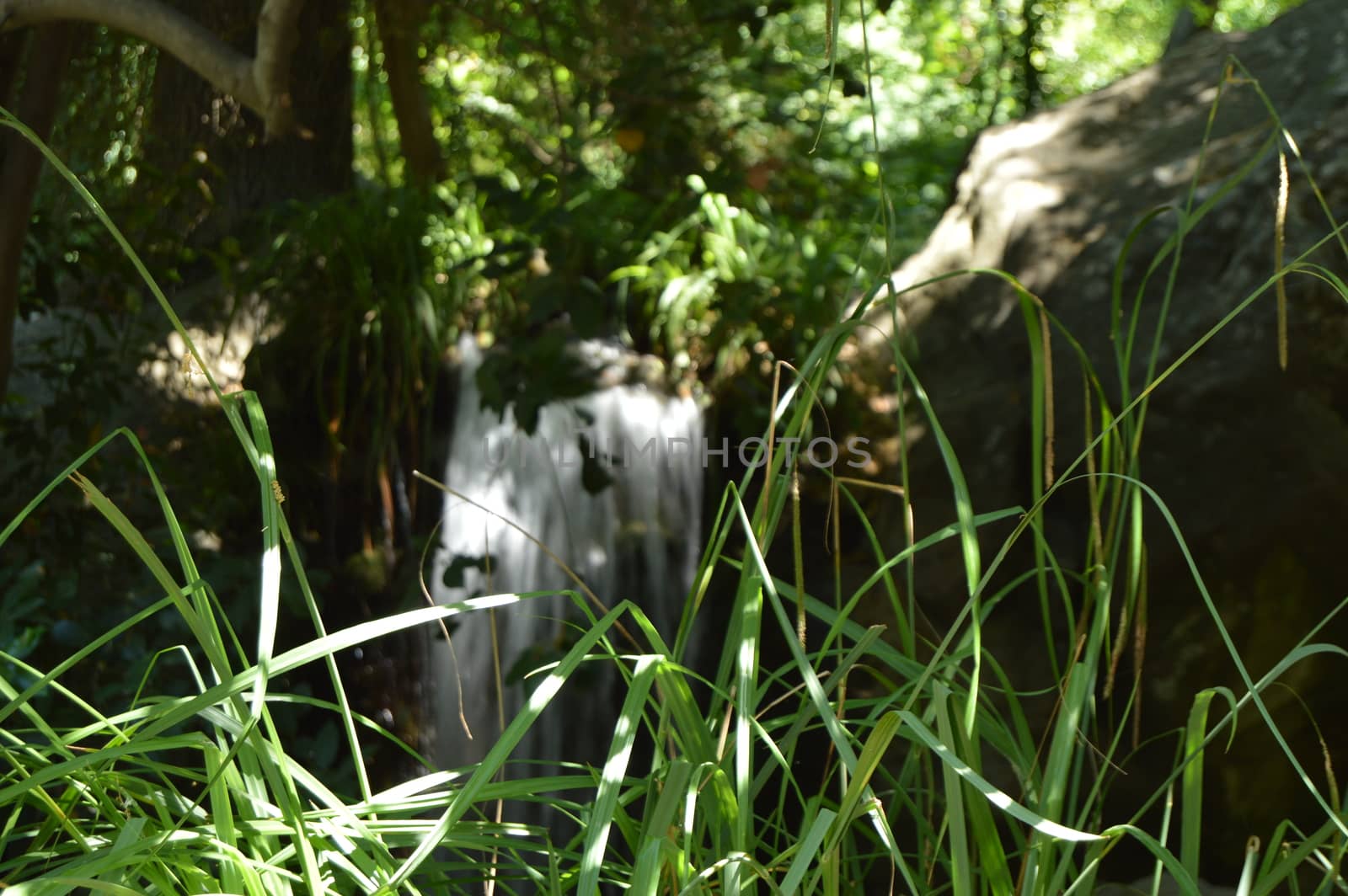 The beautiful blurred background of the waterfall is visible through the green grass in the foreground. Sunlight breaks through the shade of trees.