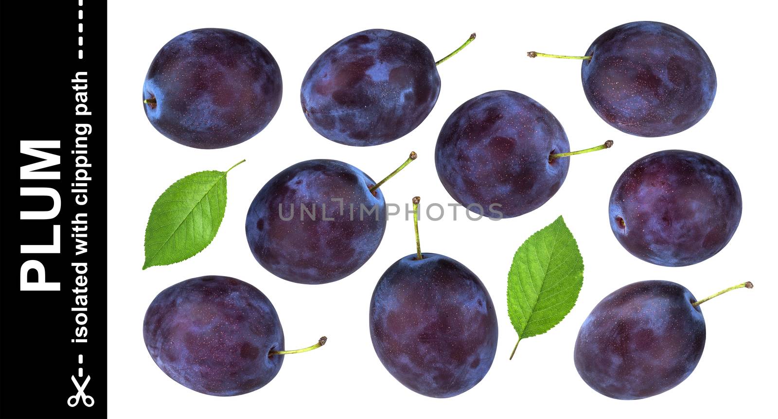 Plums isolated on white background, collection by xamtiw