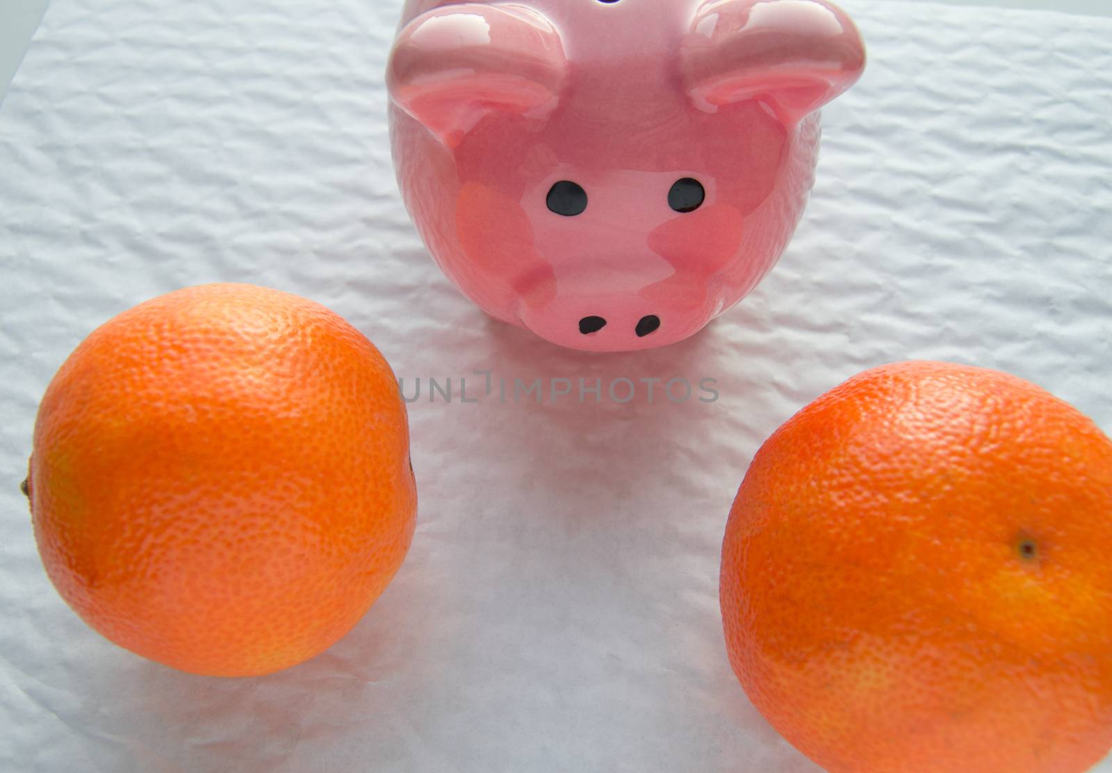 Chinese New year with copy space, piggy Bank and tangerines on white background.