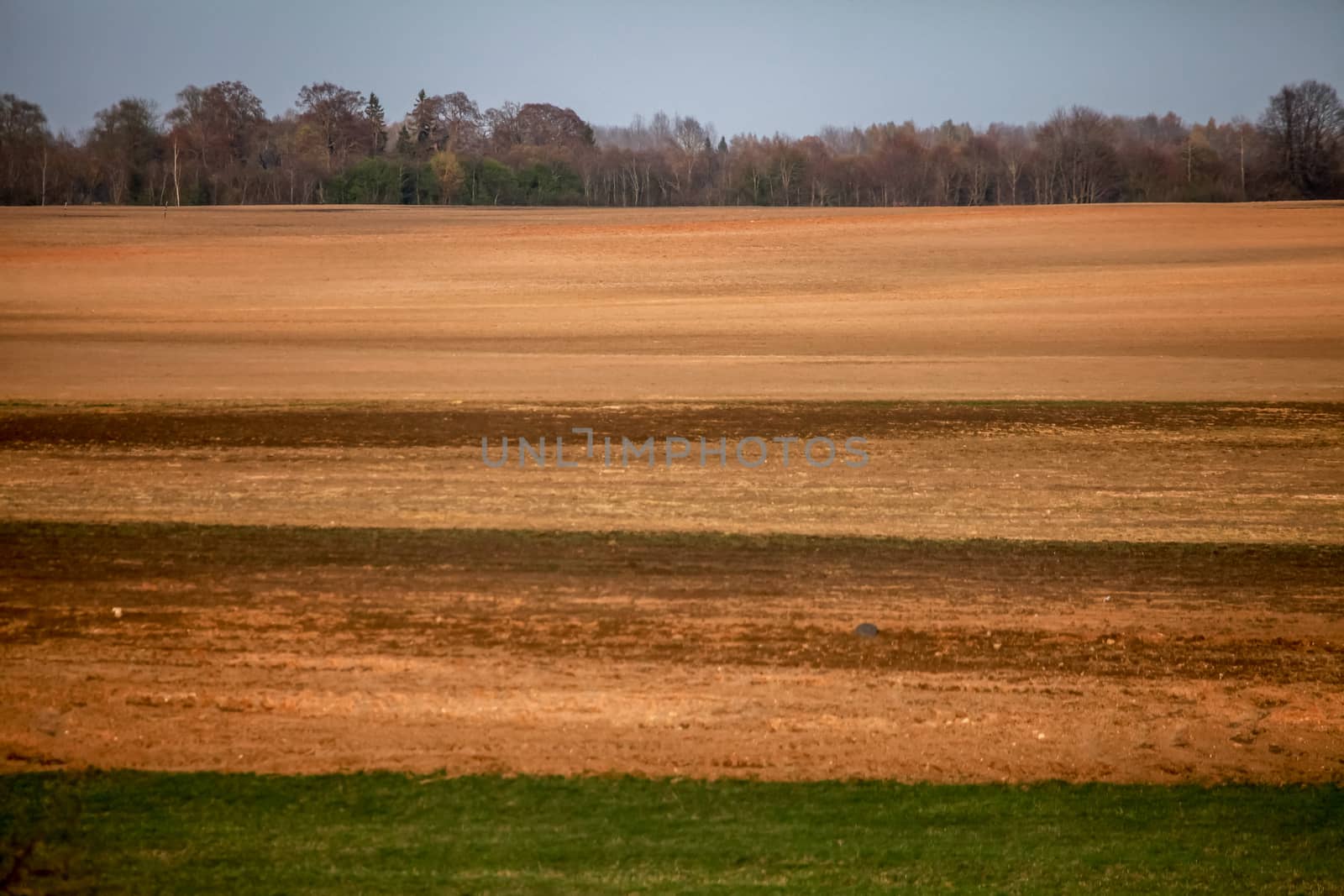 Spring landscape with plowed field. Plowed cereal field in spring. Classic rural landscape in Latvia. Plowed field in spring season.